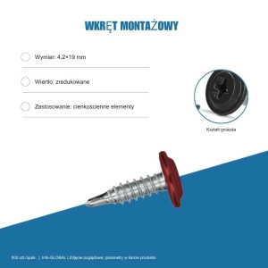 Wkręt montażowy Info-GLOBAL MA 4,2×19 mm, kolory RAL, 500 szt.